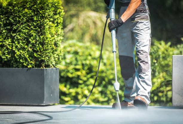 Best House Exterior Washing  in Frankfort, MI