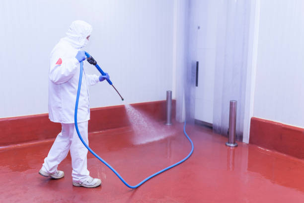  Frankfort, MI Pressure Washing Pros