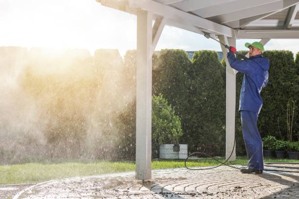Best Graffiti Removal  in Frankfort, MI