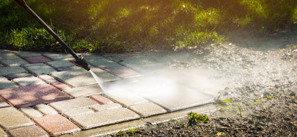 Best Factory Floor Cleaning  in Frankfort, MI